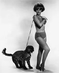 Melody Patterson in a bikini with a tiger - 24 Femmes Per Se
