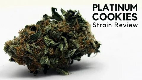 Platinum Girl Scout Cookies Strain Review - YouTube