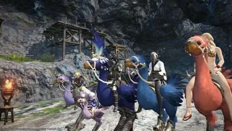 Ff14 Chocobo Royal Blue 10 Images - Chocobo Barding Tumblr, 