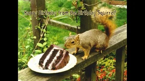 Happy Birthday Eichhörnchen - SUBSIM Radio Room Forums