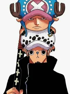 Face swap, Law and Chopper 😂 One Piece Amino