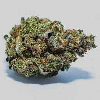 EXOTIC DREAM *CONNOISSEUR - planetnoho