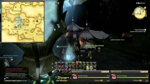 FFXIV ARR Hunting Log: Maelstrom Rank 1 locations - YouTube