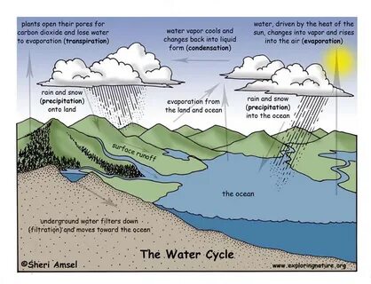 How Does The Sun Help The Water Cycle - csgfreenorthernriver