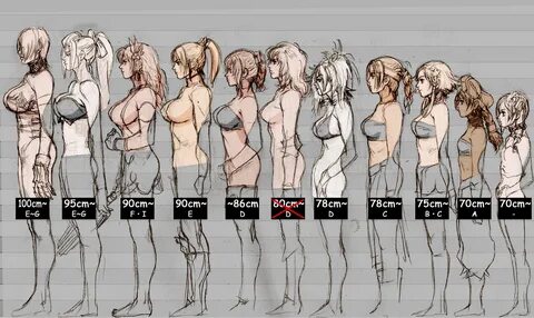 Boobs sizes comparison