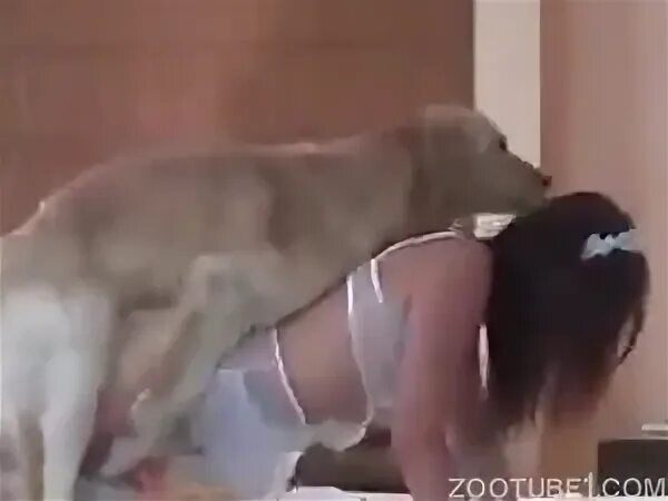 Sexo caseiro com cachorro