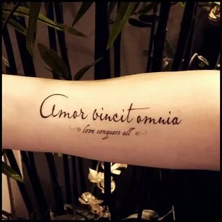 Love conquers all tattoo quote temporary tattoo fake tattoo 