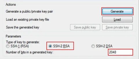 How to generate and add SSH keys to access the server FORNEX