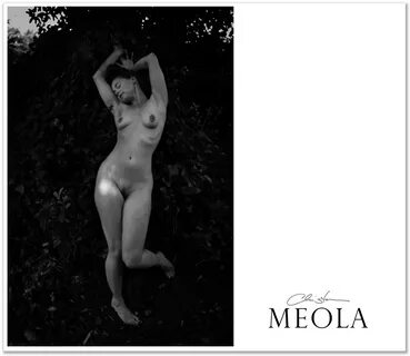 Nudes No. 3 Christa Meola Pictures Inc.