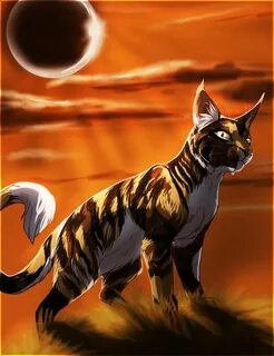 Sol:. *Video* Warrior cats art, Warrior cats fan art, Warrio