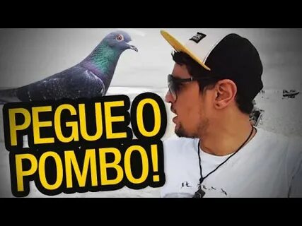 PEGUE O POMBO! - YouTube