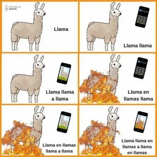 Resultado de imagen para meme de llamas Funny pictures, Funn