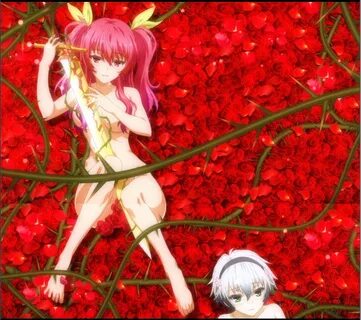 Anime Feet: Chivalry of a Failed Knight: Stella Vermillion