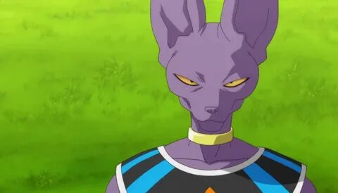 dbforeveraye: Dragon Ball Z Battle Of Gods Beerus - Beerus, 