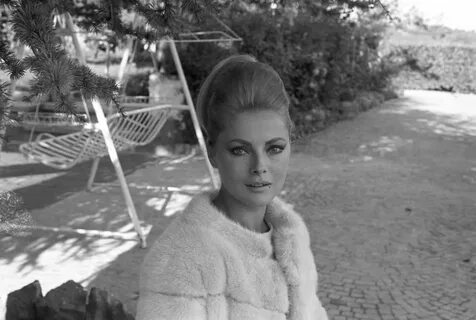 Virna Lisi picture
