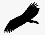 Bald Eagle Flying Clip Art, HD Png Download - kindpng