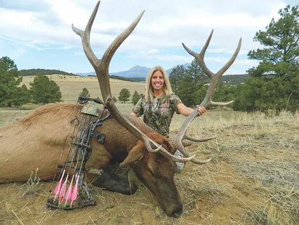 How to Avoid a Blown Shot - North American Elk