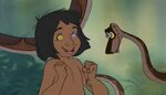 Euphoria by Mowgli-Tales -- Fur Affinity dot net