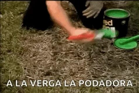 Paint Grass Lawn Care GIF - Paint Grass Lawn Care Paint - Di