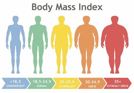 Body mass index vector illustration from underweight to extr