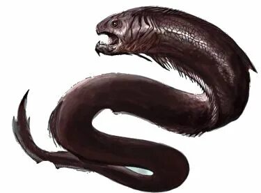 pathfinder giant moray eel - Google Search Whale, Creatures,