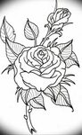 Фото эскиз маленькой розы тату 14.08.2019 № 033 - sketch of 