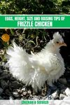 Frizzle Chicken: Eggs, Height, Size and Raising Tips