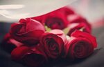 Красный Розы Цветок - Бесплатное фото на Pixabay