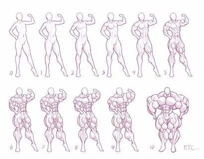 Size Chart #5: Muscle by MoxyDoxy - Art References Drawings,
