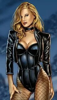 Black Canary like the ribbing on the bodice and the half jac