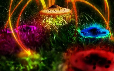 Mushroom Wallpapers (69+ background pictures)