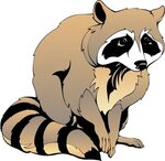 Download Raccoon Dog clipart for free - Designlooter 2020 👨 