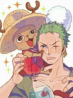 Pin by Emily Barnes on Roronoa Zoro One piece chopper, One p