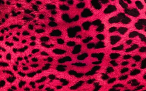 Фон леопард розовый (37 фото) - фото - картинки и рисунки: с