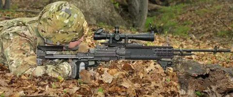 The Best Scopes for 17 HMR in 2022 - Scopes Field