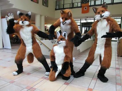 We are the foxes! Yiff yiff yiff yiff yiff yiff! лиса фурсью