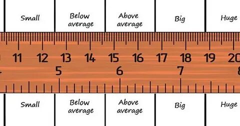 How big am I?" Here's a ruler to find out. - Imgur