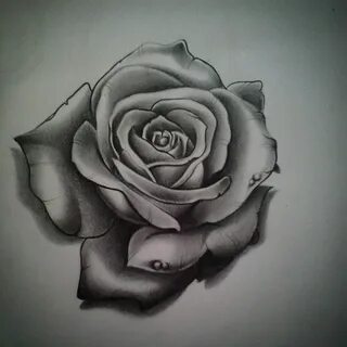 letsgetsome-tattoo Rose drawing tattoo, Rose tattoos for men