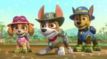 Paw patrol full episodes, Paw patrol cartoon, Paw patrol pup