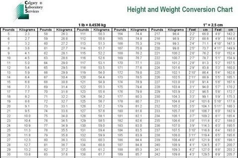 Download Weight Converter Kg To Stone Poundsbackstage