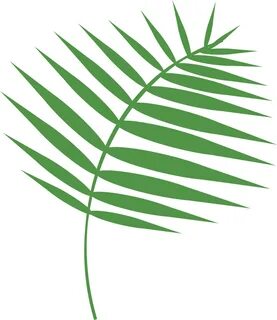 Transparent Free Holy Week Clipart - Palm Sunday Images Down