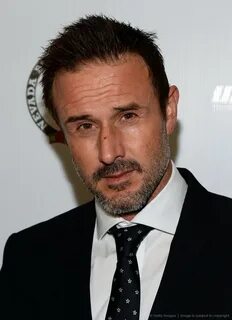 Picture of David Arquette