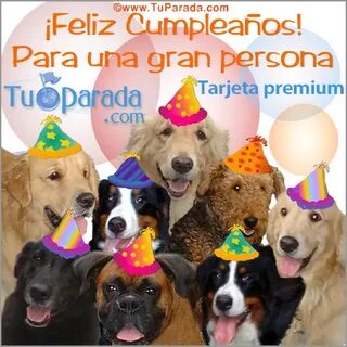 Feliz Cumpleaños! - Animales, tarjetas