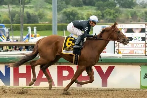 Richard Mandella back in Kentucky Derby picture after Forbid