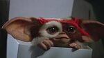 Gremlins Gizmo Wallpapers (68+ background pictures)