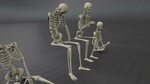 ArtStation - Skeleton Poses Pack - Low-poly 3D model Game As