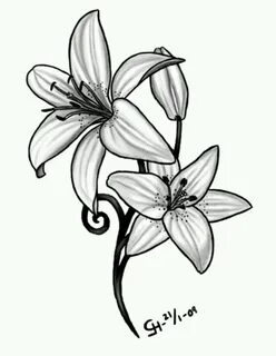 Pin by Alejandra Turner on Tattoos Lily flower tattoos, Tige