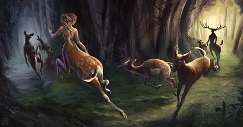 deer HD wallpapers, backgrounds