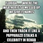 freezing weather animal memes Florida Weather Meme Florida f