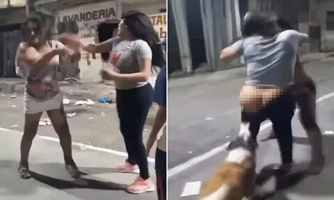 where an unimpressed stray dog pulls down one of the women's leggings ...